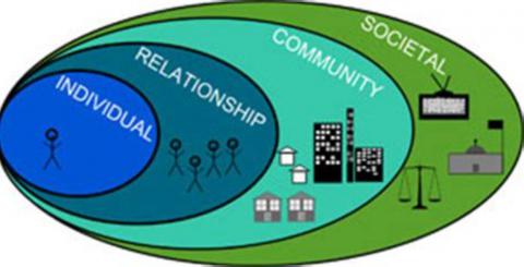 Social Eco Model